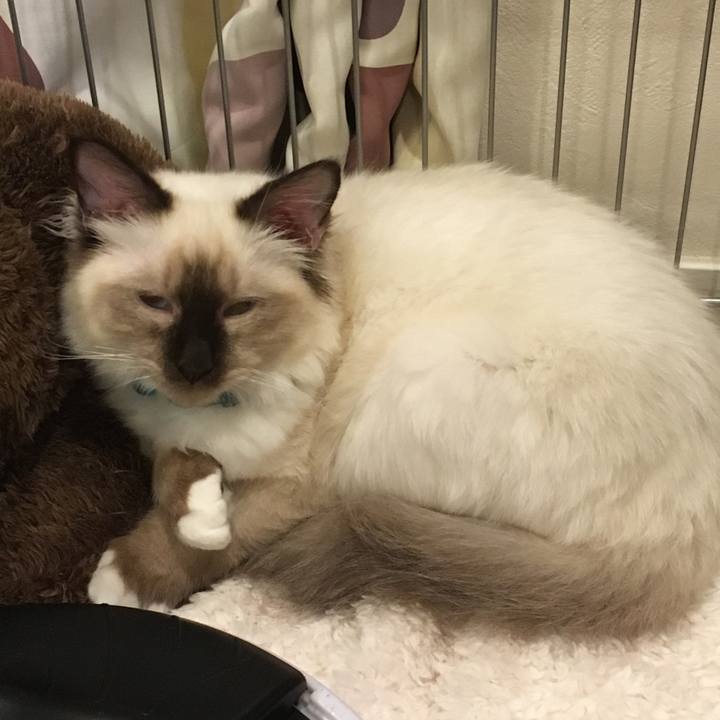 A8aa5597 bff6 4600 9b3c 5592043a998e 1507970648214