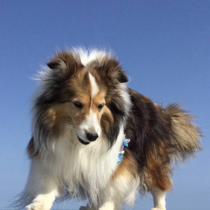 A8aa8877 1acb 432e b538 3cd421ef14fc 1766274074355