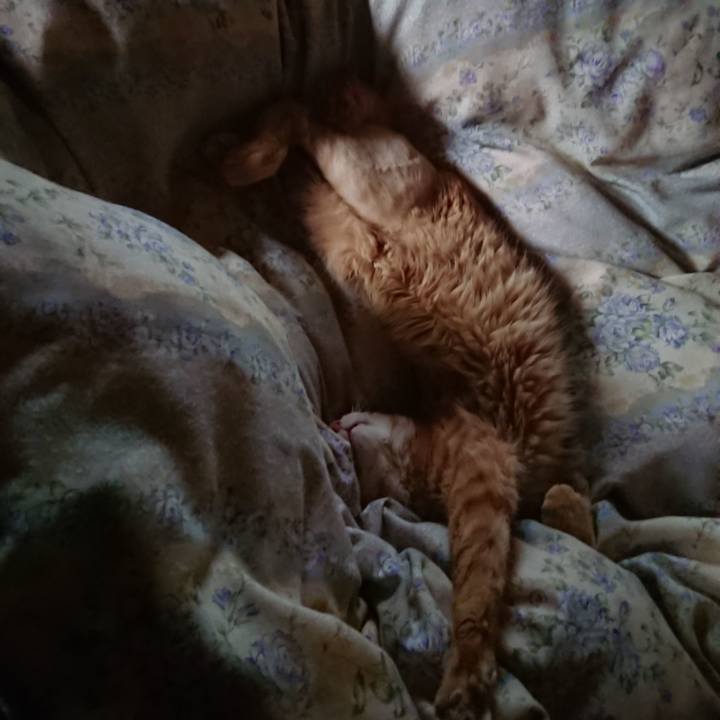 A8aa8b11 d4ee 476d 8958 10b087ad0ee4 1656304130563