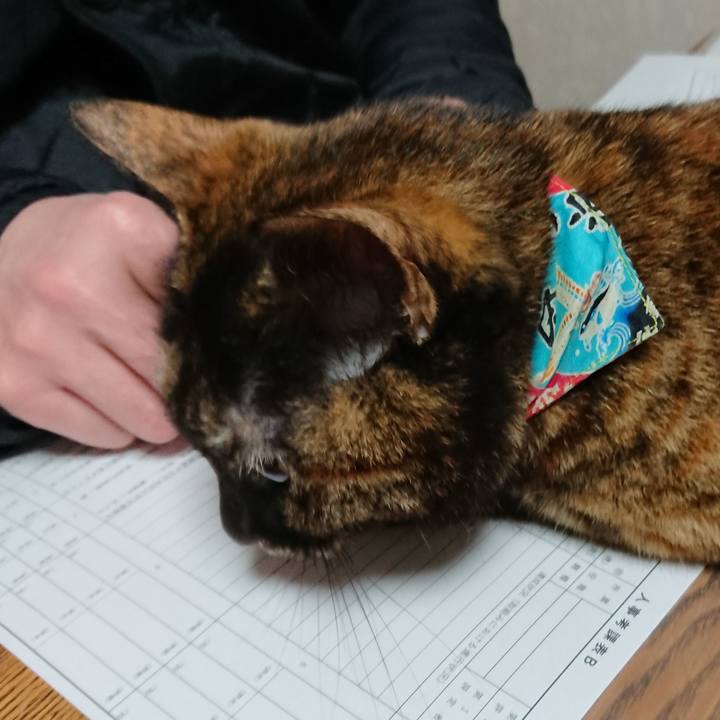 A8aa9515 5d99 4095 8f89 94e5faecad44 1575468644463