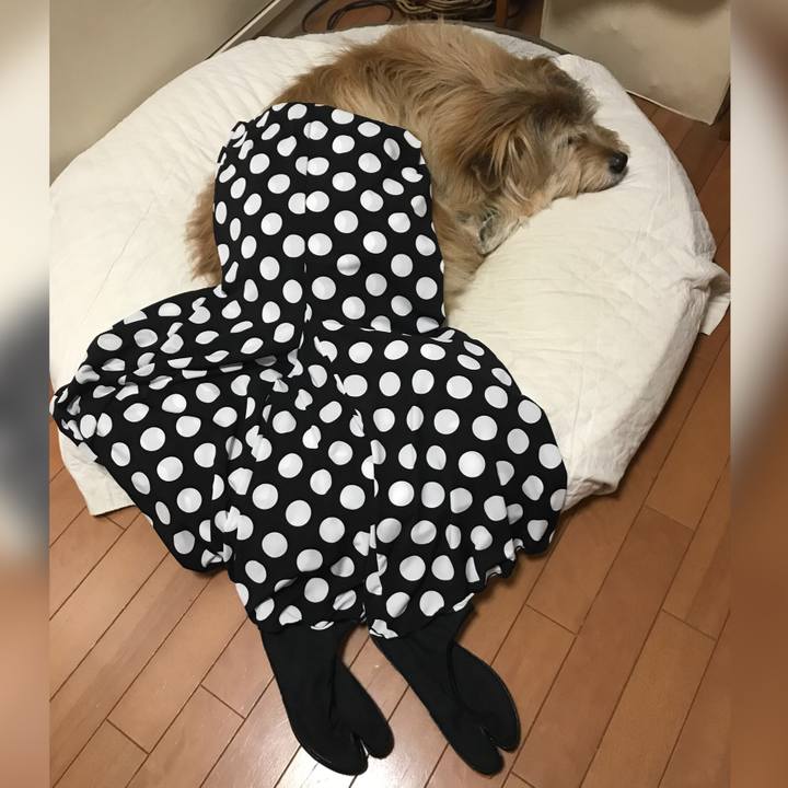 A8aa96f9 d751 4136 bca9 22a7842daba3 1647144787181