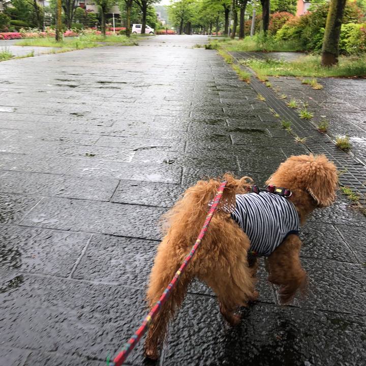 A8aaa873 7ac2 4b55 a693 6b95cb43a313 1559955690953