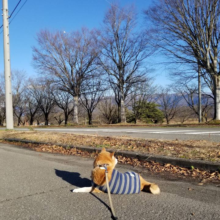 A8aab2c3 167e 4ae0 ac21 924b11196f13 1670563950122