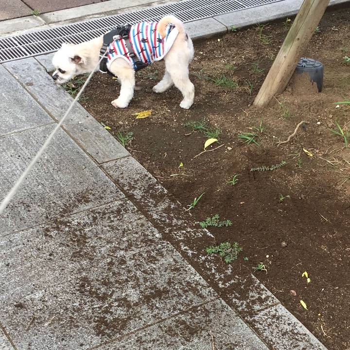 A8aafa26 a90d 4d89 aeeb 1c2d863f1426 1567242099158