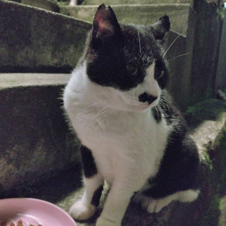 A8ab12aa 0e0c 40ca 824a ecd9a093a664 1699275334859