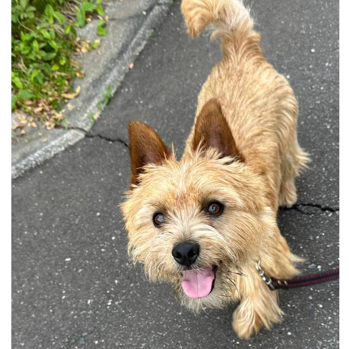 A8ab2801 a55f 4a84 9ca3 ecb9fa20a74e 1746854153327