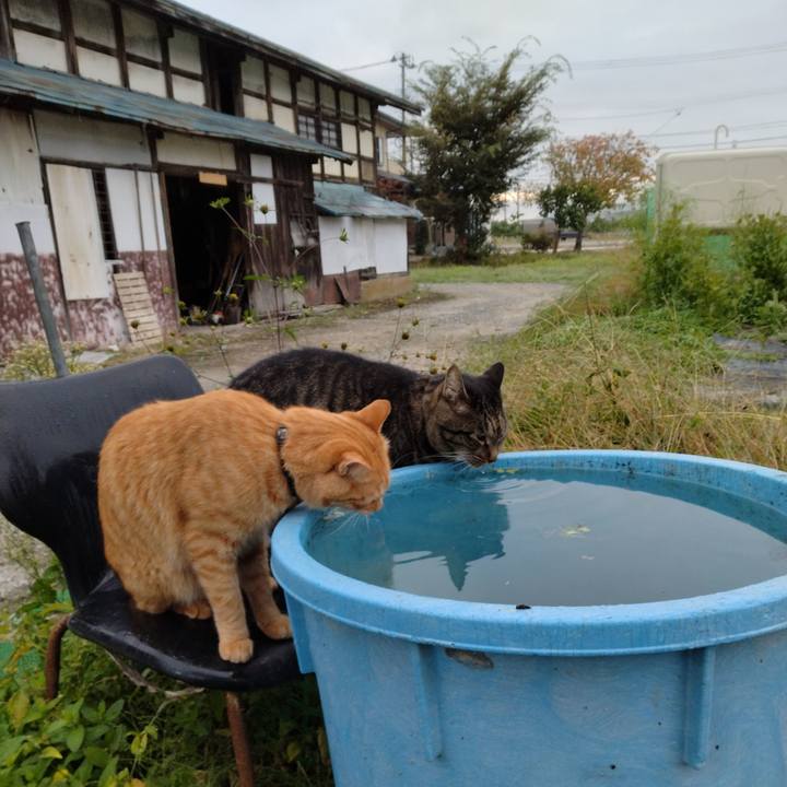 A8ab346c 7419 4233 ab52 2e0f57553eef 1665872763962