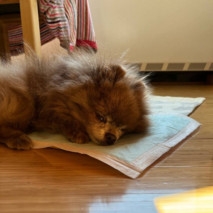 A8ab652b f95b 4159 b4ea 0cc7bc6dd4f1 1773983622102