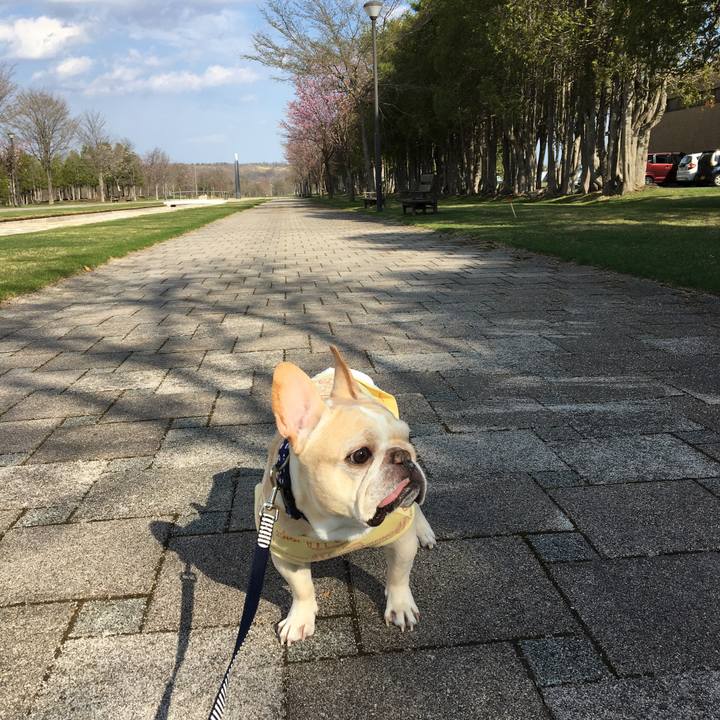 A8ab7f93 cf5f 4df0 a243 7de1e80f649b 1526995909303