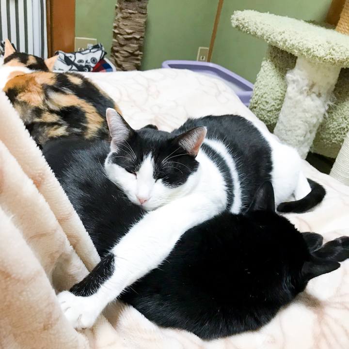 A8abc9ff 41fd 460b 8d1a e0c66382a3e6 1520606478307