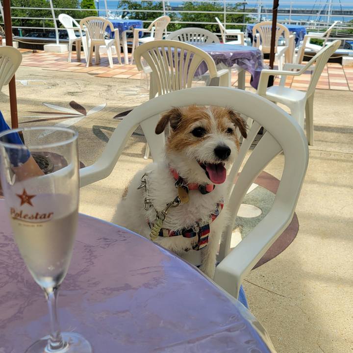 A8abebdd 6a11 46bc 9ca0 6abd2a29d6fe 1751241249554