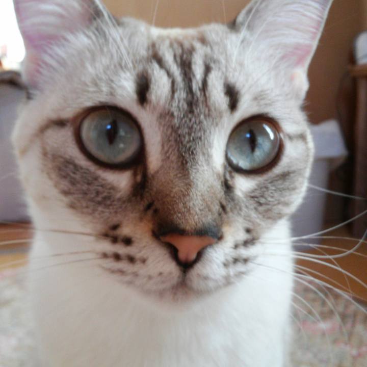 A8ac1e70 30c2 44e2 bb31 ef21c2fa0f85 1509068894014