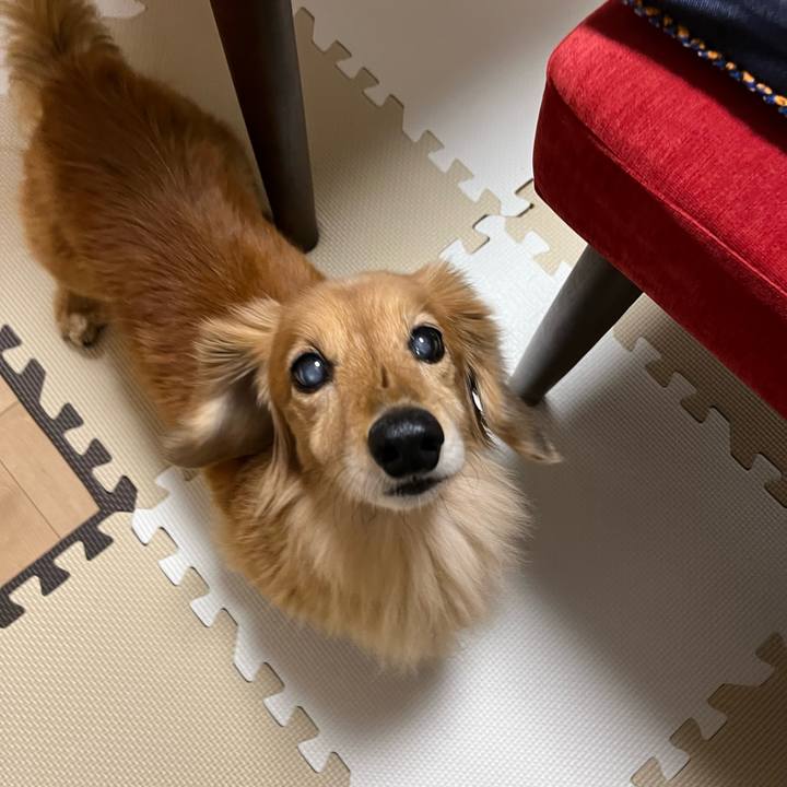 A8ac369a cb23 4182 a8e0 293ff80c8346 1637586128186