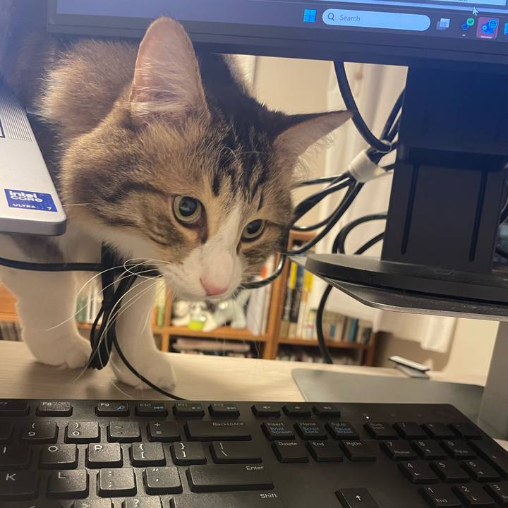 A8ac75d3 98f3 448f b995 ab81c8c1cf05 1764837229890