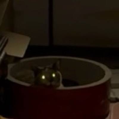 A8ac7e9f 8421 49ce bd0f fce19a3f5ea9 1752866006318