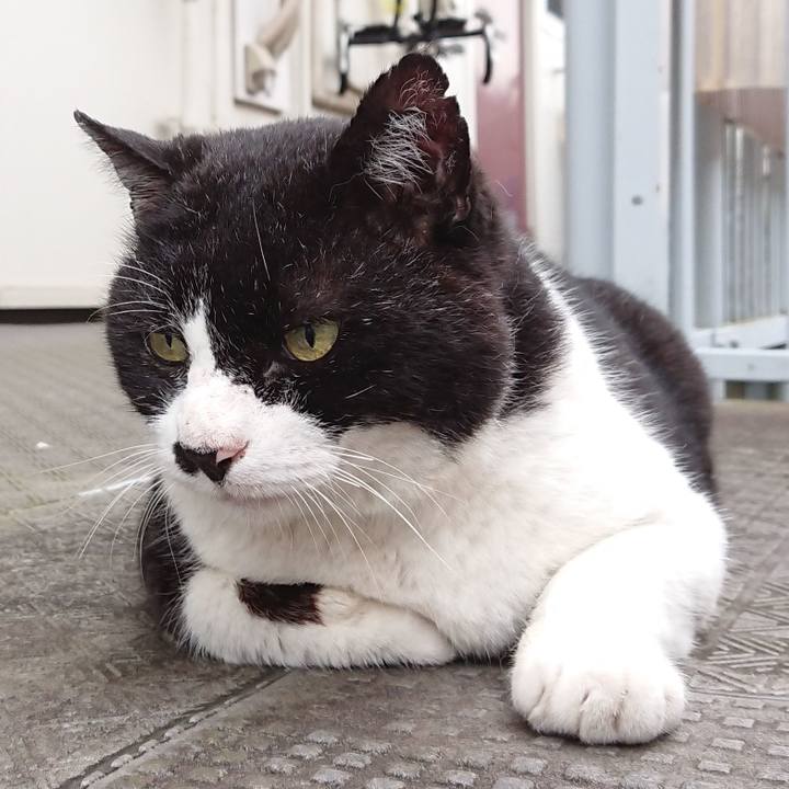 A8ac9129 e021 415c 84ce a30f971576e4 1626134270436