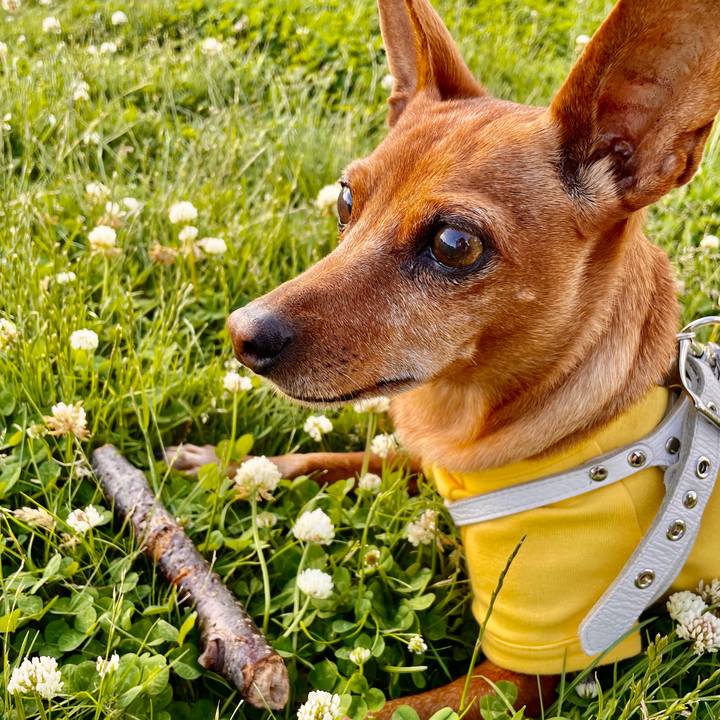 A8acc7db 669e 42a1 8071 460174cb3c5f 1687526574159