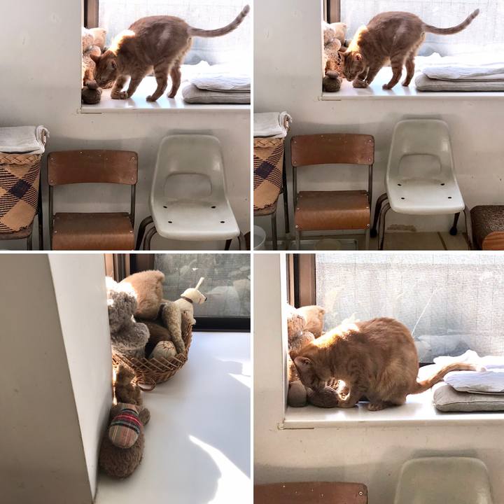 A8acd324 afb4 4ca0 9421 d8c9aef5403d 1552569413988