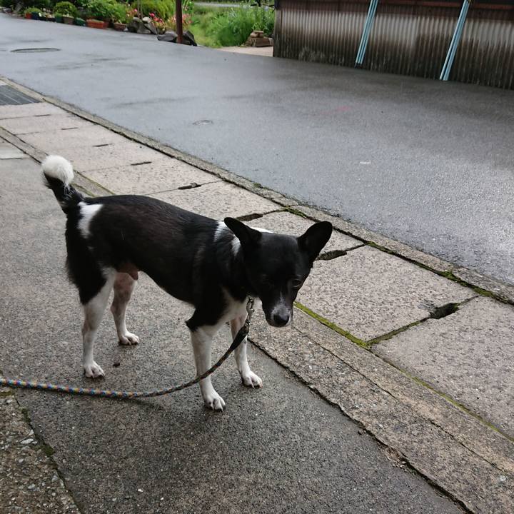 A8acd4e9 462b 4a40 9ef3 1b7de63eab72 1561648624361