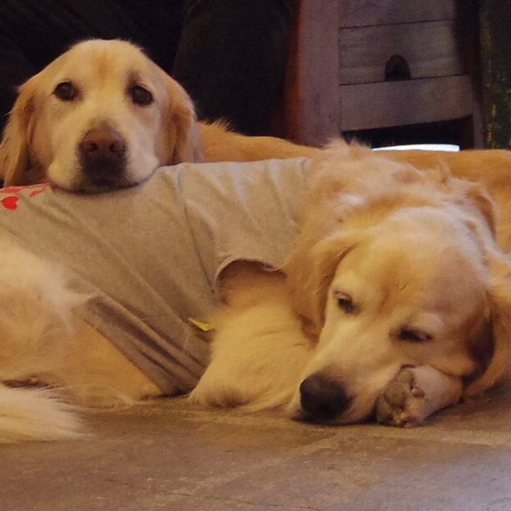 A8acebc6 ef3d 4ecf 823e a793395c4382 1553488359042