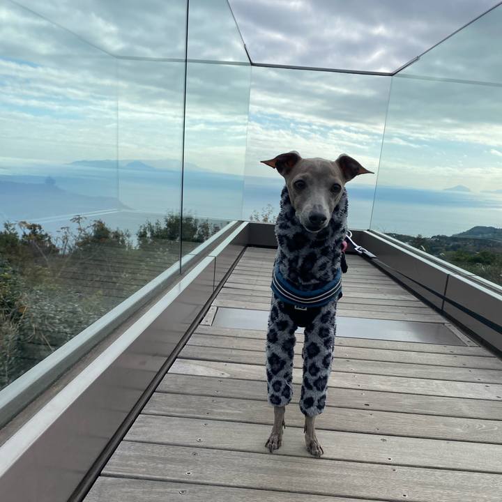 A8acf7db c14c 414d 9351 7f57de43467e 1765852530783