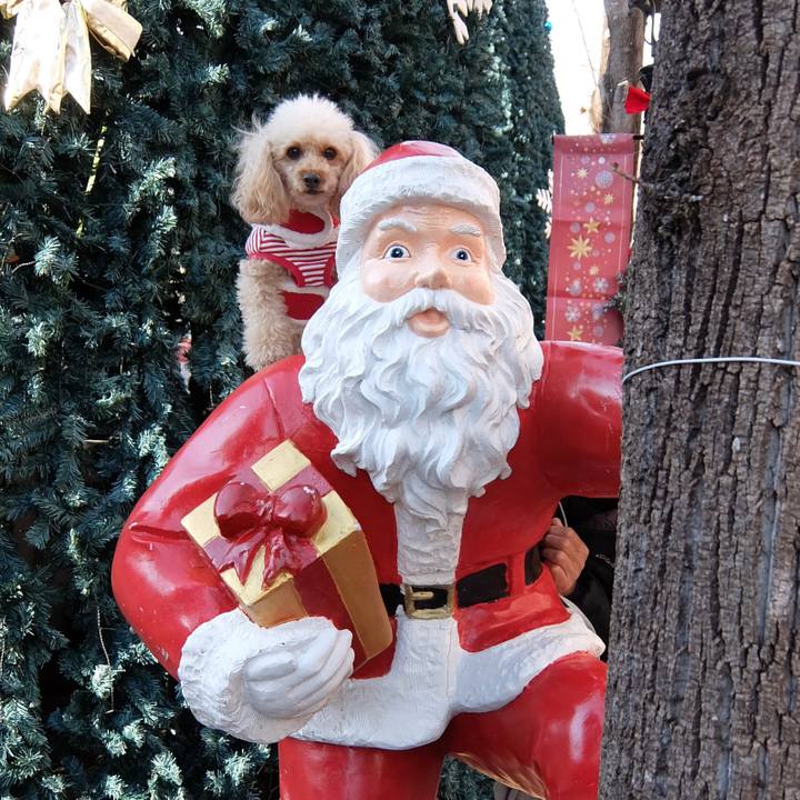 A8ad1142 e579 4e07 bede f39f01f9cc26 1640323008089