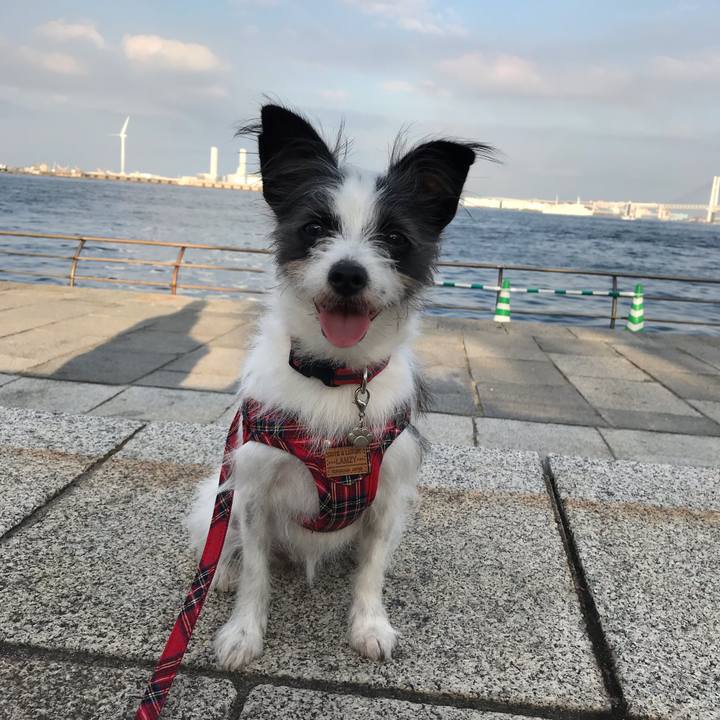 A8ad196d e06d 4858 bde3 4929a0a4d316 1539503049159