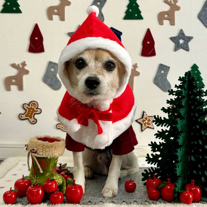 A8ad4238 db96 4e81 84ea 321a0be7f524 1671926406244