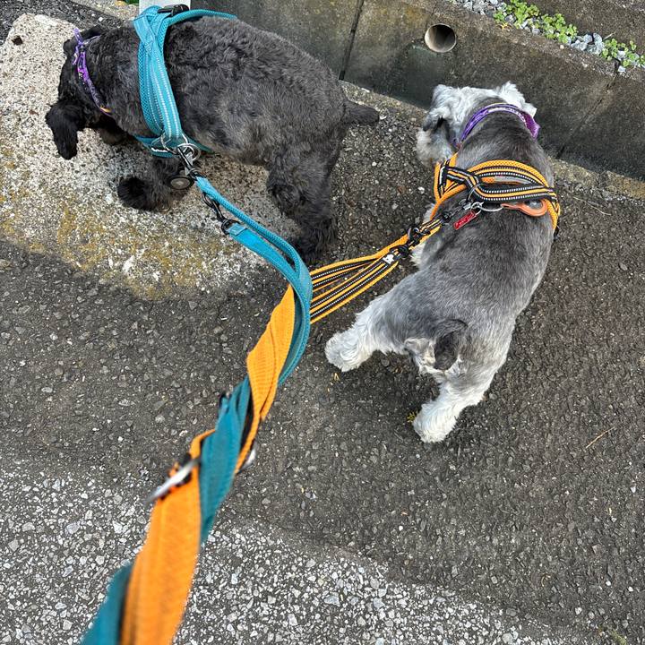 A8ad69bc c477 4849 8789 c5b364a804ca 1698045753334