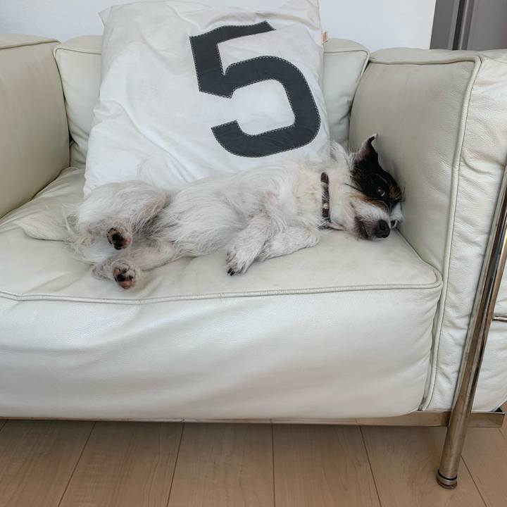 A8ad8f28 e48a 4c94 972f eabfc474b9b1 1651651948850