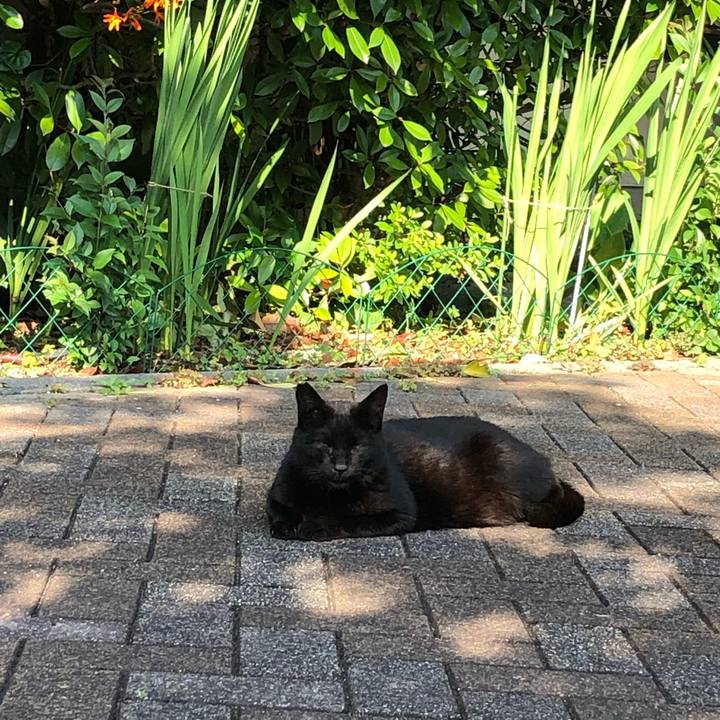 A8ae09f6 aa32 4fbe 94f7 b9521c17c371 1656518668707