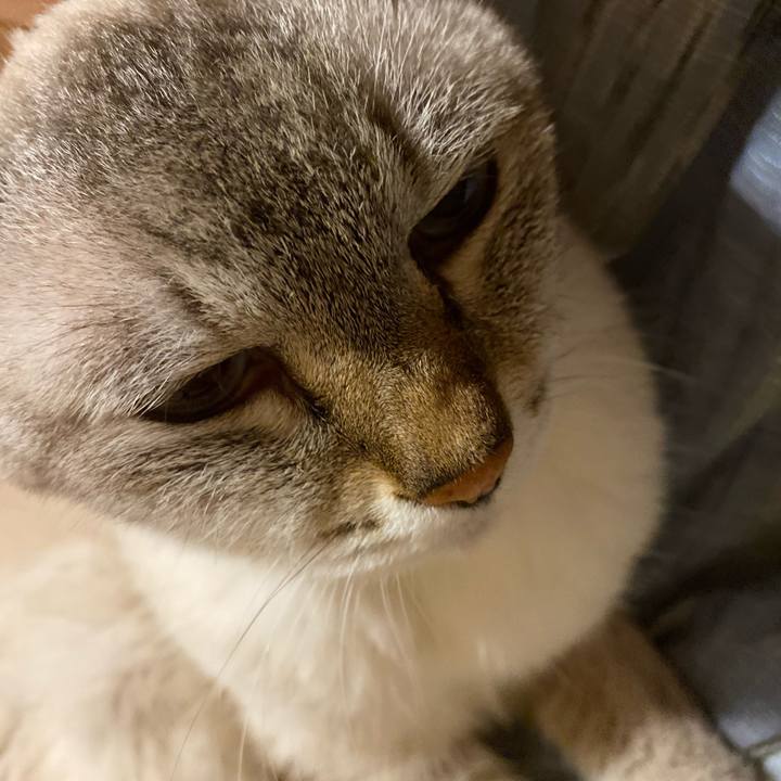 A8ae6b14 0fbc 426e 9273 cf7eab7faa3a 1595504356953