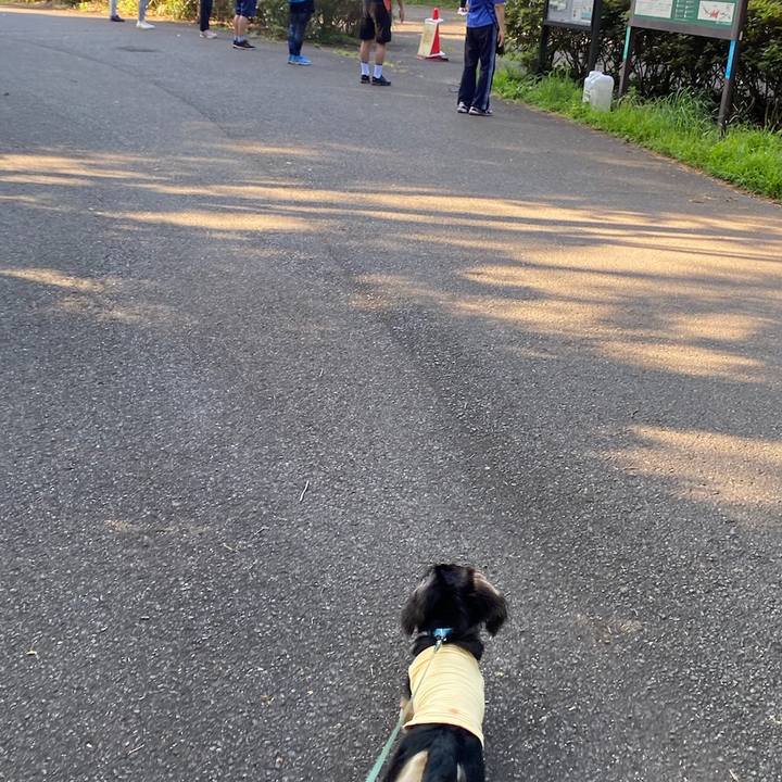 A8ae74c8 f664 4b3b 9b2f a5736217a084 1689034437206