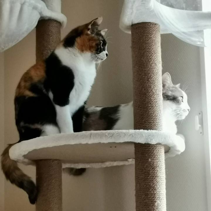 A8ae8436 414f 427e 9a29 374ec1293492 1644289114527