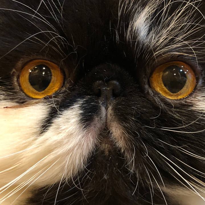 A8aeb370 e2c0 482a acfa 85f398e1049c 1530366014929