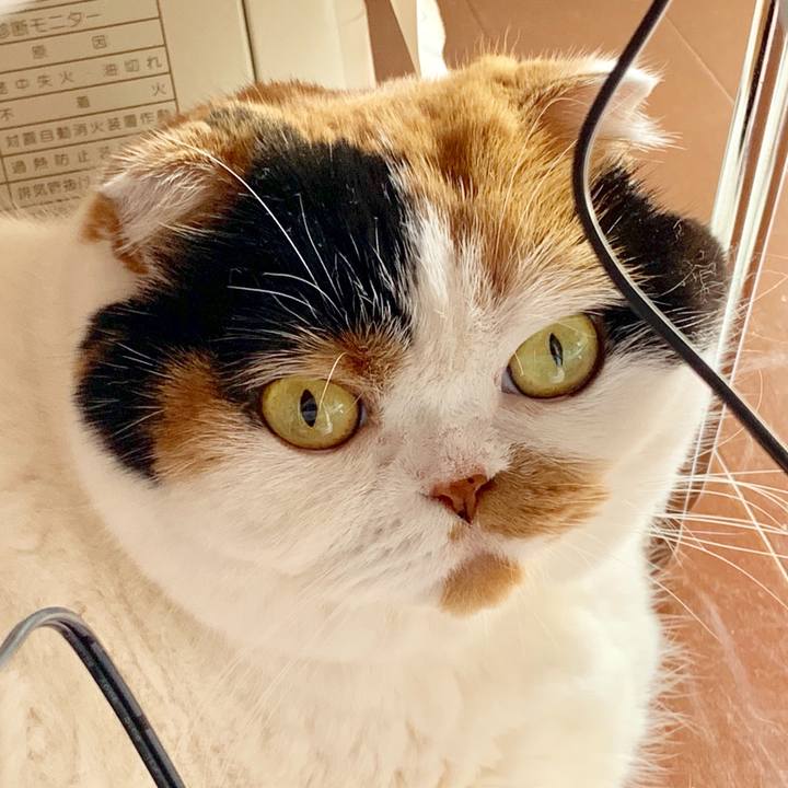 A8aed615 615d 4889 85ab ef553b8d8dc0 1566781523976