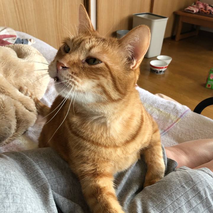 A8af1822 2fdf 4e4f afb9 b610f5004a30 1587284473032