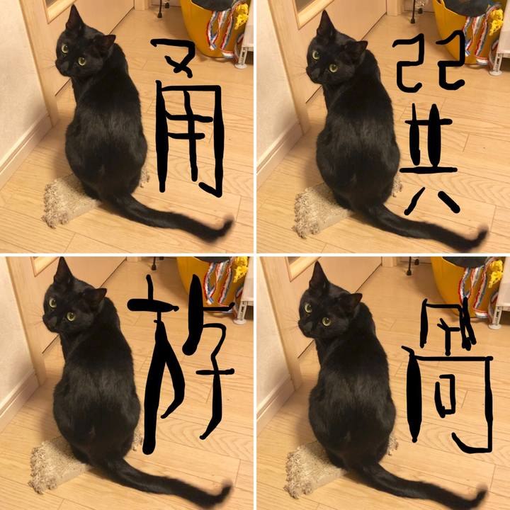 A8af277c e8bf 493b 9be2 36bf724dc6d5 1583586443217