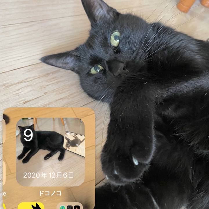 A8af2799 0f46 4e1b 8ec5 df6973b08c2e 1702077859188