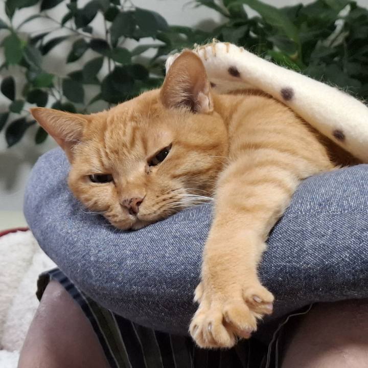 A8af552c 7d74 463e 88a7 f40c6e89211f 1730341400529