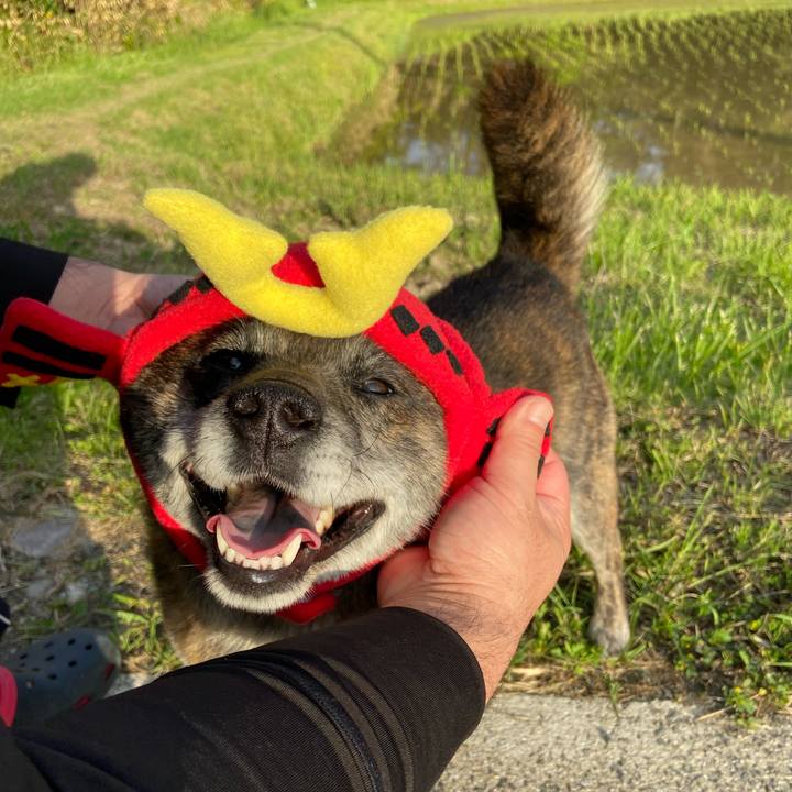 A8af9ff3 d033 4570 9599 e7c85f9afebd 1620382361330