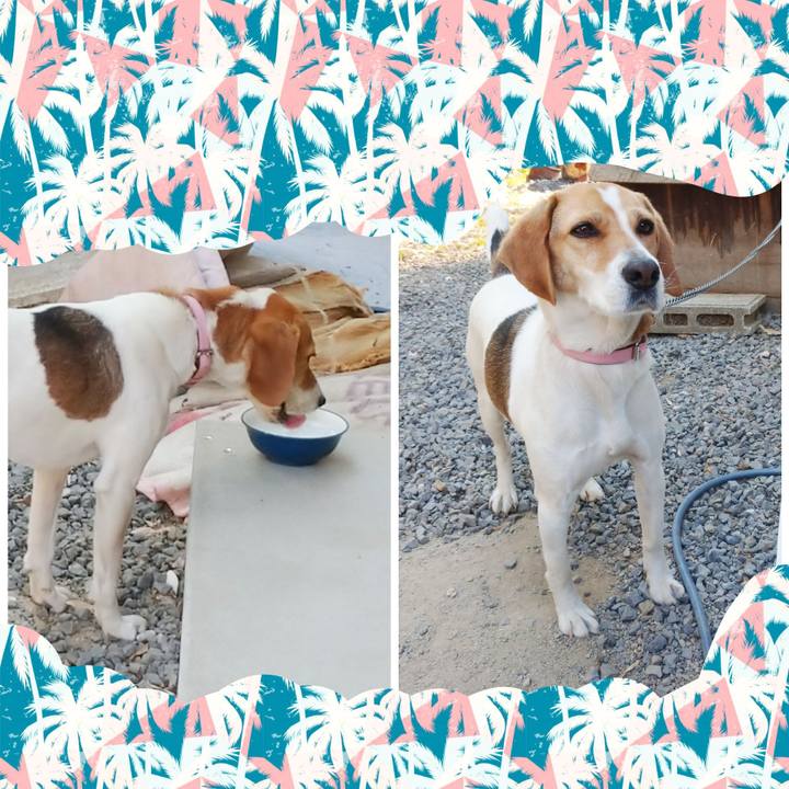 A8afd66c 91e3 4718 bf5a 399208a458b2 1588313389484