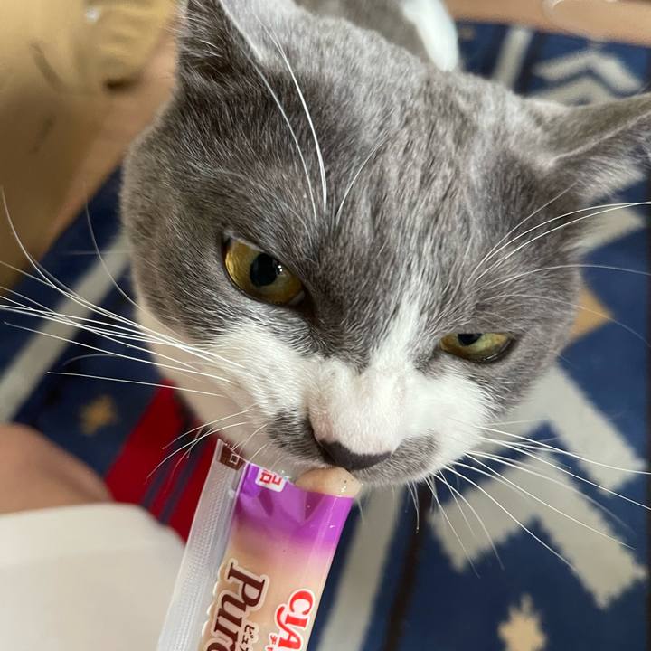 A8b03f97 c02b 43bd bcdd 3061b92a63f7 1659768884749