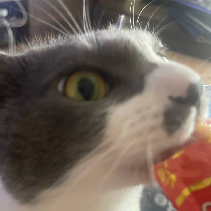 A8b055f2 c250 418d 8ba1 8ec74cd935b5 1692255427979