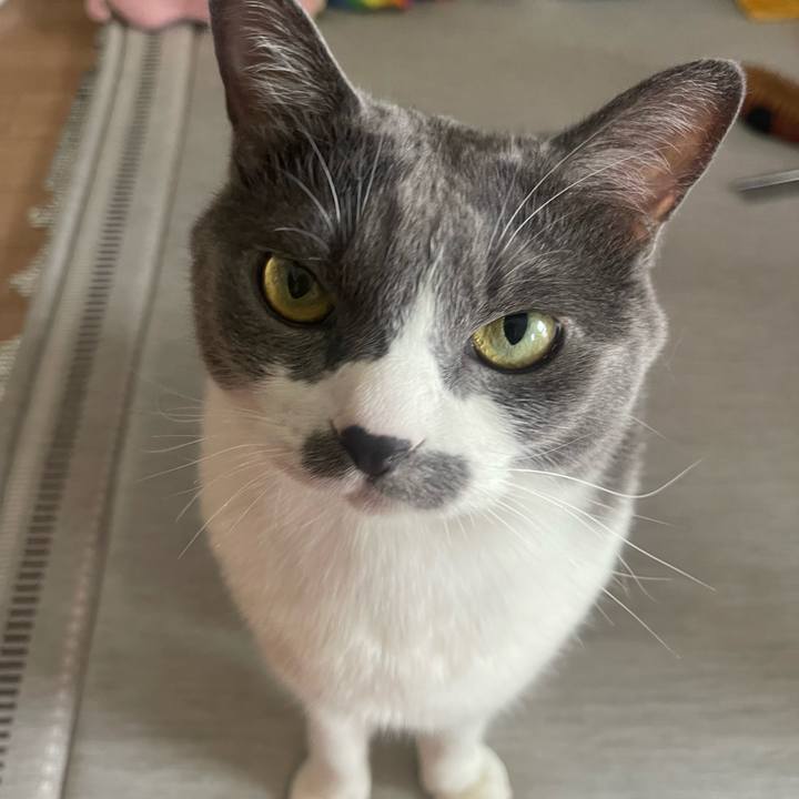 A8b08224 a86d 4964 9f1b f7de09a0b176 1757213950650