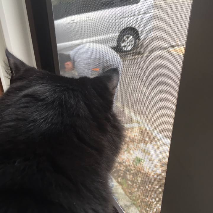 A8b0ac98 3b9c 49ef 8068 b72b1c6b8ce1 1509673869691