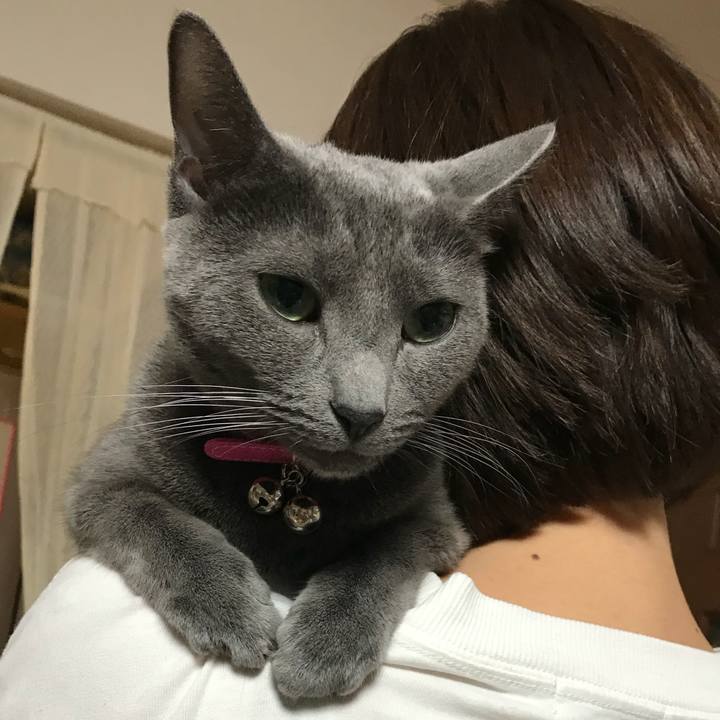 A8b0ade8 bc71 4da8 994d 1e3b0d050931 1523659133326