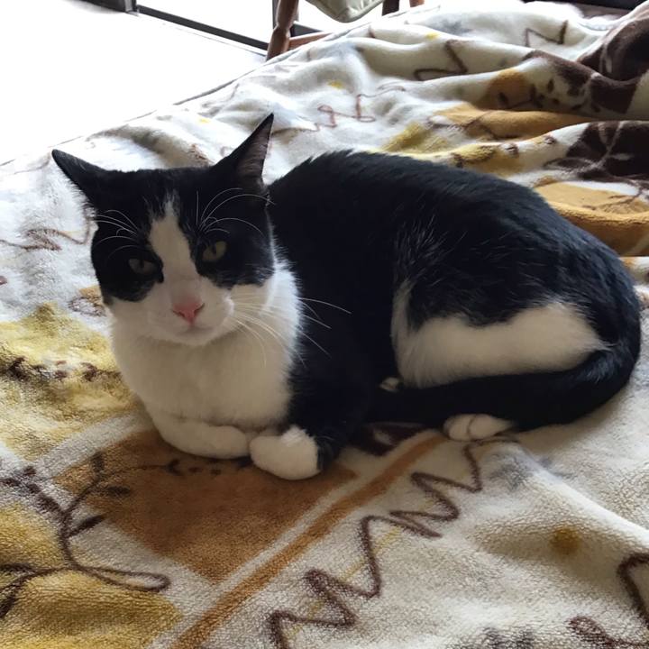 A8b0ca25 c330 4a8f 9eb3 c3cb85c896a9 1652604146492