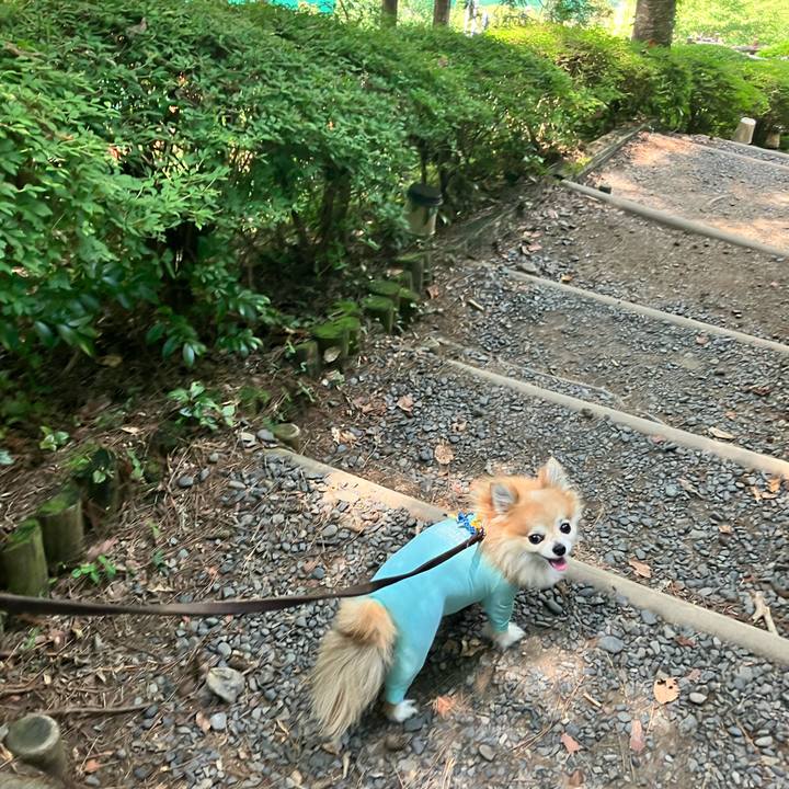 A8b0e563 8465 46d2 8900 bcf29802a176 1756682202838