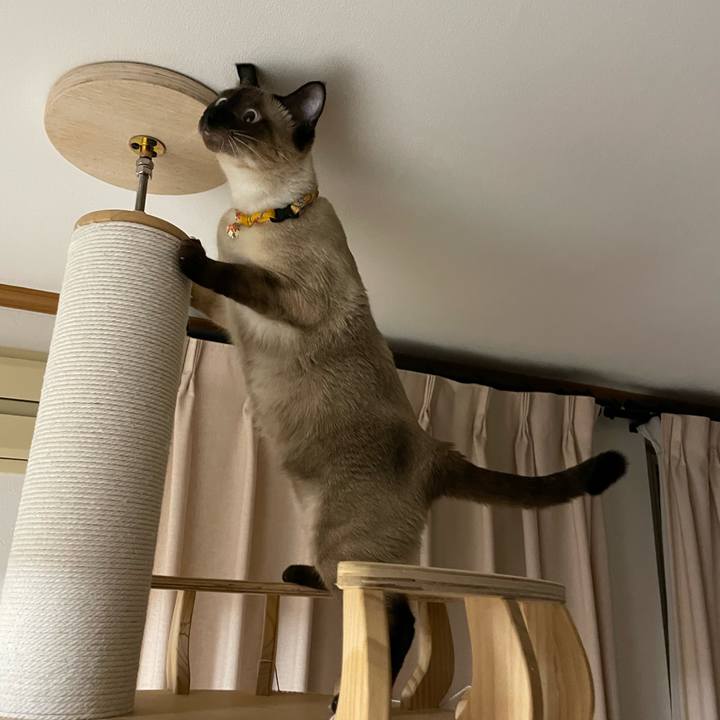 A8b0f73c 18e2 44aa bd27 95b10422ce5b 1724009315147